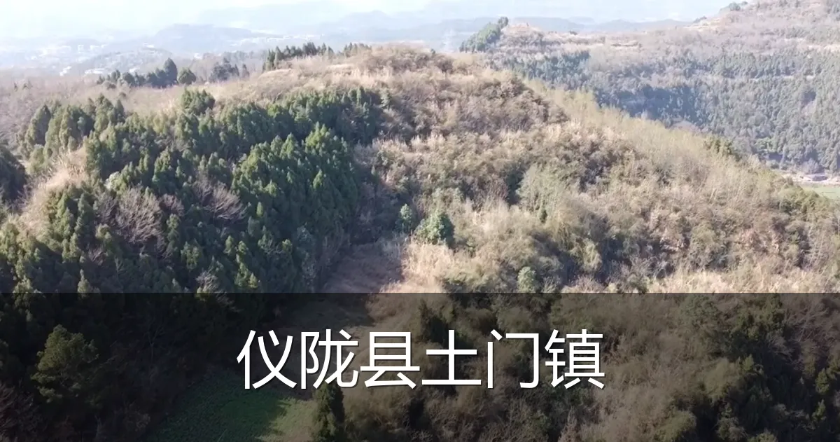 仪陇县土门镇