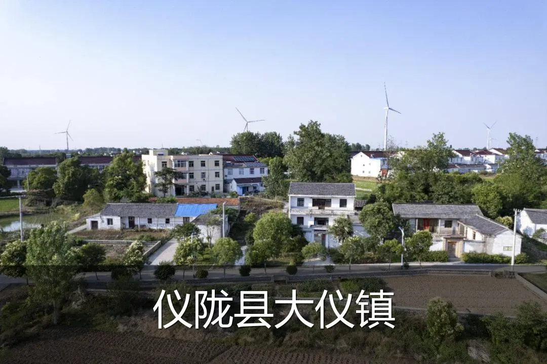 仪陇县大仪镇