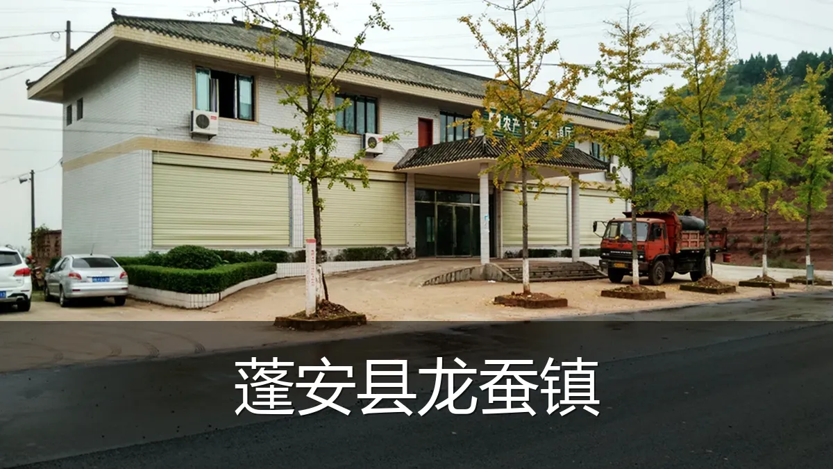 蓬安县龙蚕镇