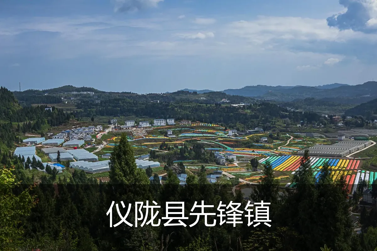 仪陇县先锋镇