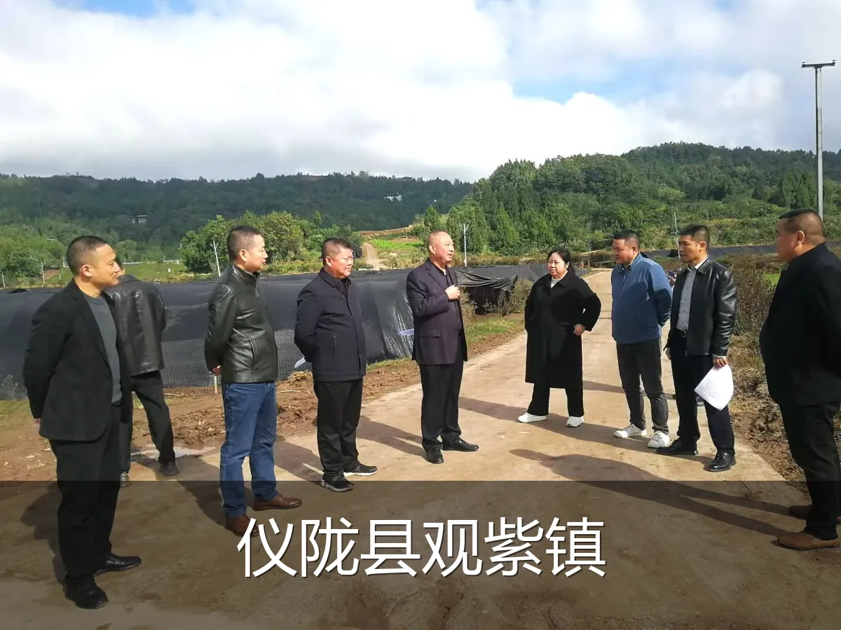 仪陇县观紫镇