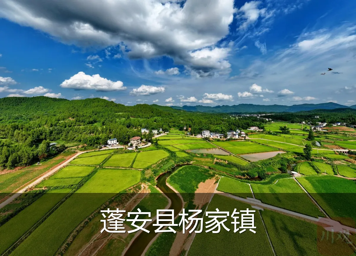 蓬安县杨家镇