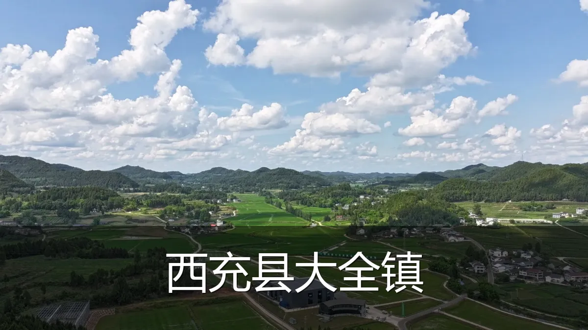 西充县大全镇