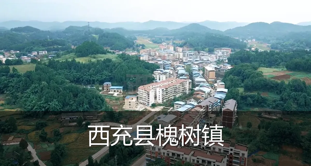 西充县槐树镇