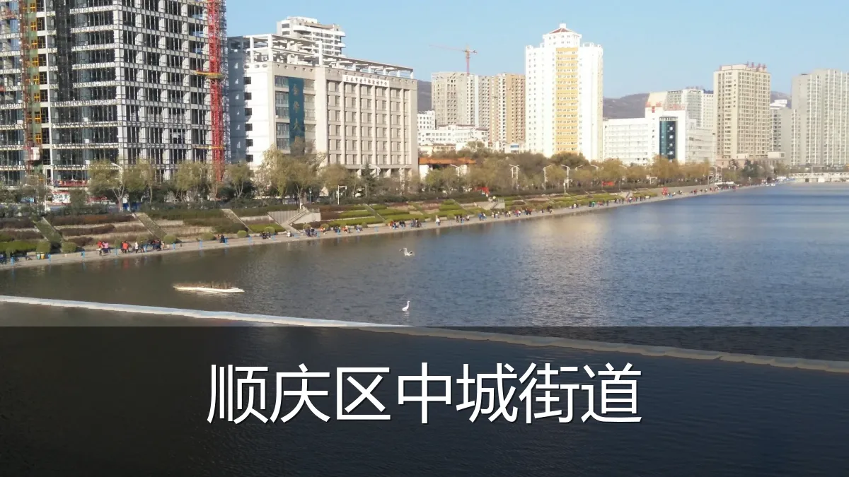 顺庆区中城街道