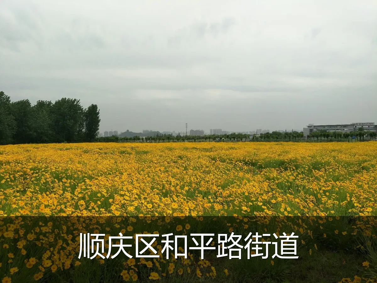 顺庆区和平路街道