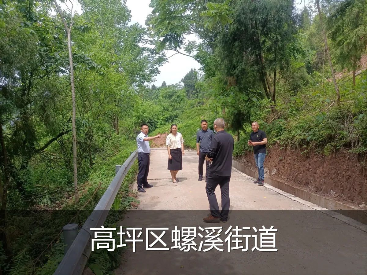 高坪区螺溪街道