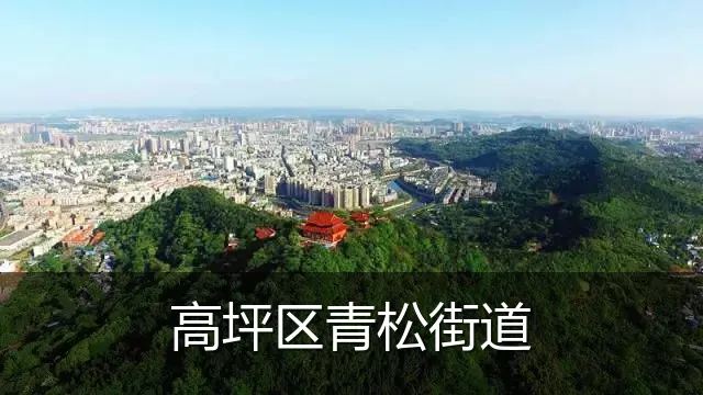 高坪区青松街道